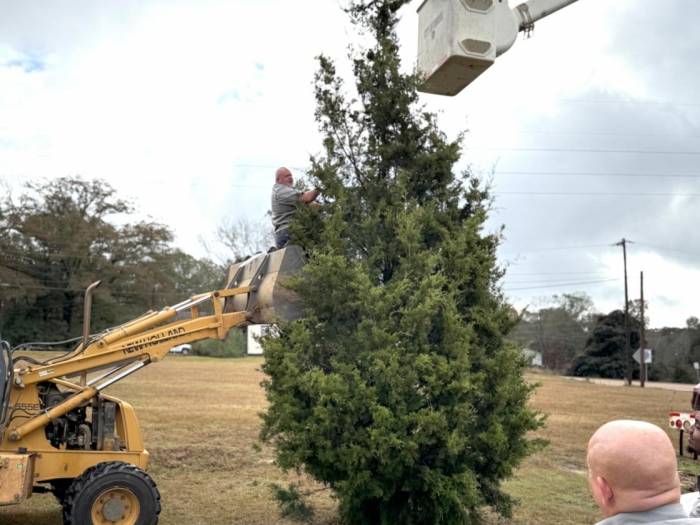 [The City of Winona prepares for Christmas 2025!]